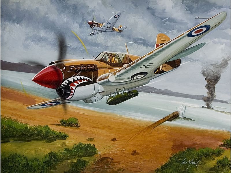 Aircraft, Military, Curtiss P 40 Warhawk, Military Aircraft, HD wallpaper