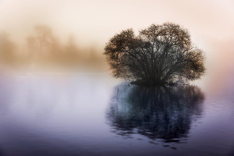Little Britain Lake , lake, nature, flickr, HD wallpaper