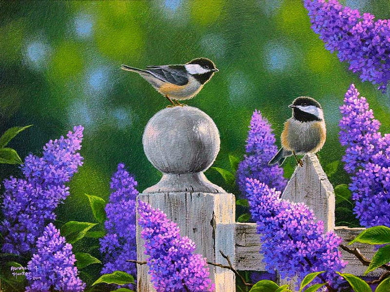★Songbird of Love★, pretty, fence, lovely, songbirds, colors, love four seasons, birds, bonito, spring, trees, paintings, purple, love, flowers, nature, couple, HD wallpaper