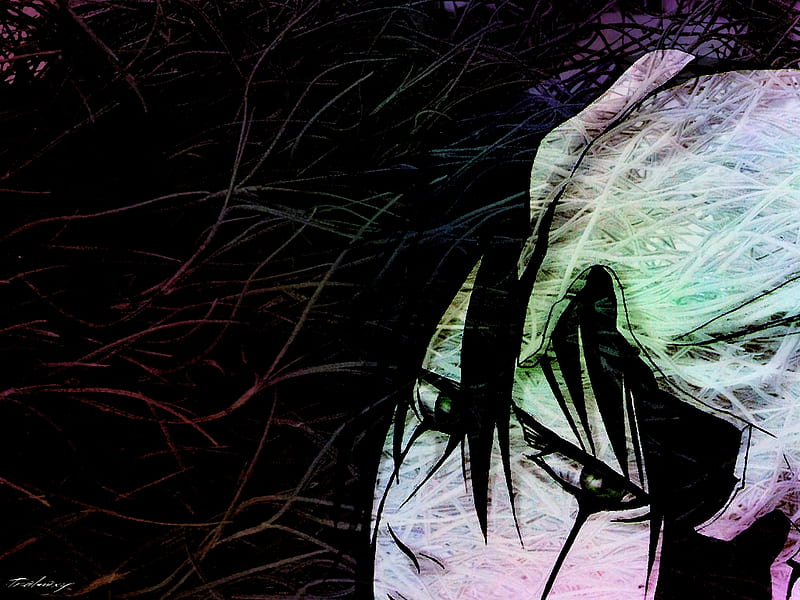 Ulquiorra Ciffer, bleach, ulquiorra, cero, evil, 4 espada, espada, villian,  pain, HD wallpaper | Peakpx