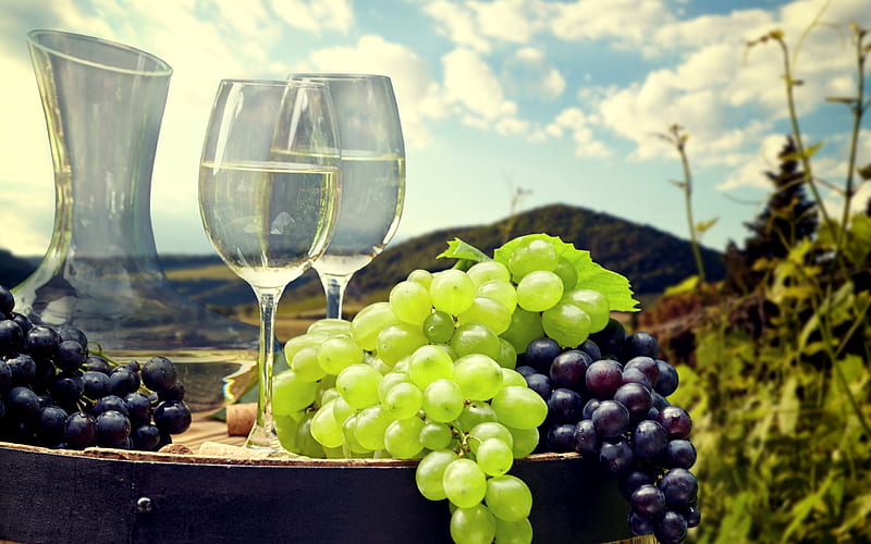 white wine, grapes, vineyard, harvest, fruit, glasses with wine, HD wallpaper