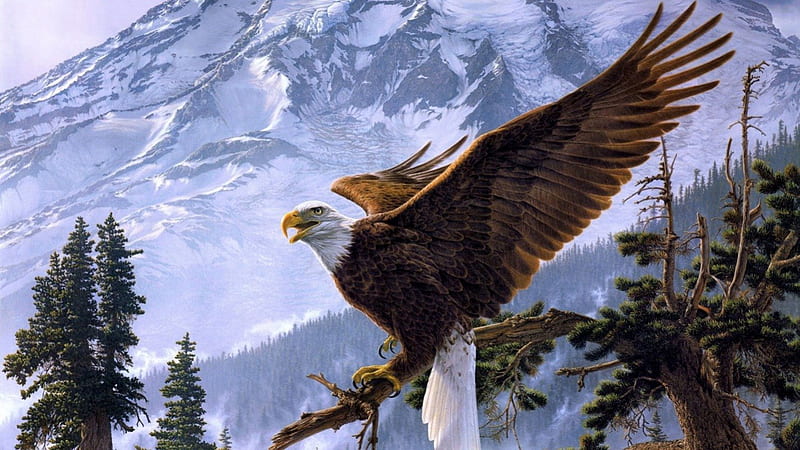 águila calva, alas, pintura, naturaleza, árboles, paisaje, Fondo de  pantalla HD | Peakpx