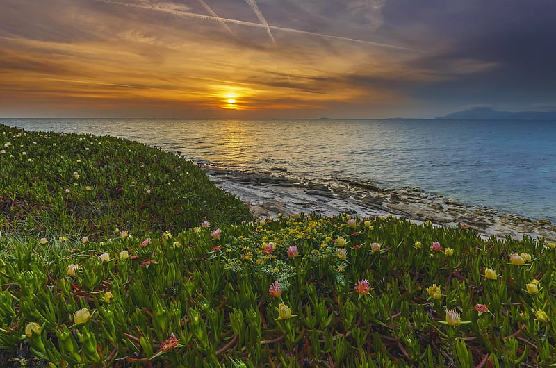 At the Edge of the Sea,Greece, greece, flowers, nature, sunset, island, sea, landscape, HD wallpaper