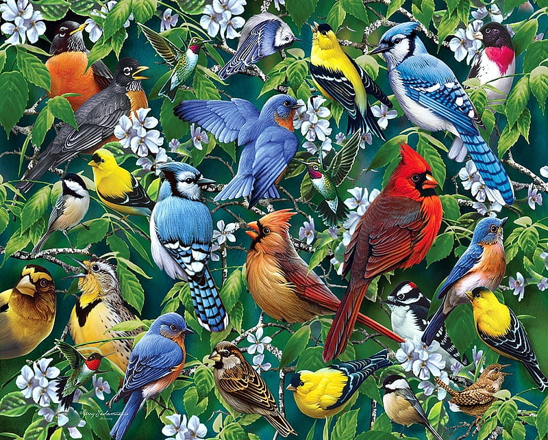 Springtime, chickadee, painting, birds, blossoms, blue jay, artwork, cardinal, HD wallpaper