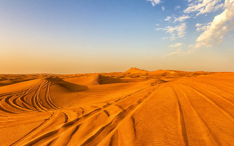 Morning Desert, Landscape, Sky, Morning, Dune, Sand, Desert, HD wallpaper