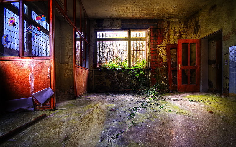 Greenery in Decay The beauty of Urban Decay, HD wallpaper