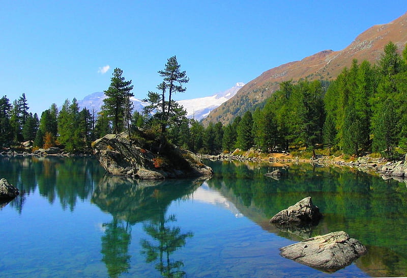 Lake Saoseo, forest, lake beautiful, bonito, trees, alpine, sea, valley, mountain, stones, color, outdoor, wood, blue, HD wallpaper