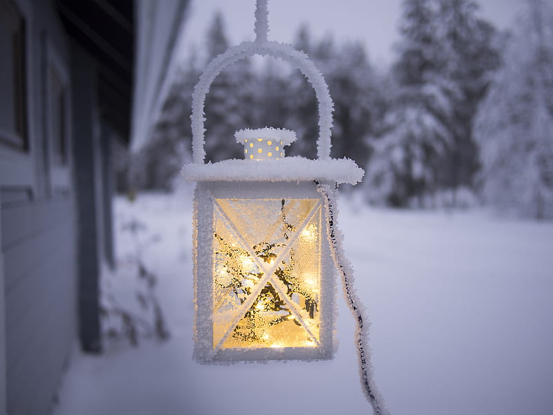 white pendant lamp hanging on ceiling outside of snow covered forest, HD wallpaper