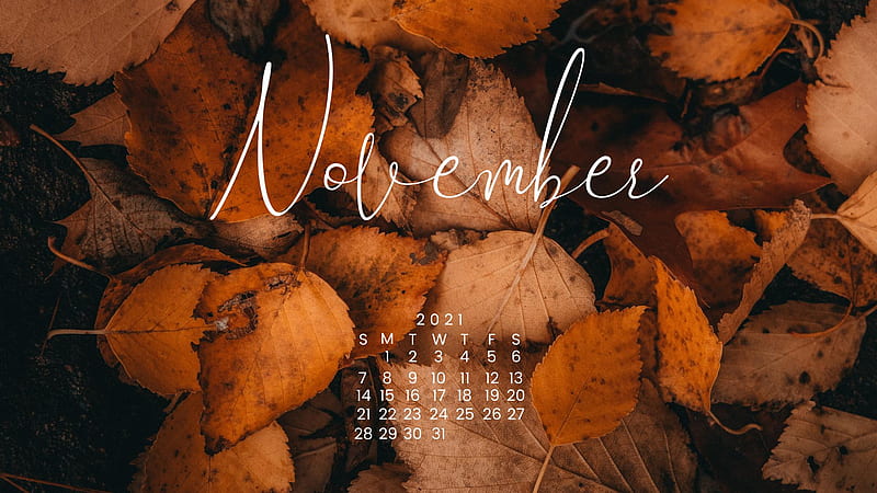 Background November 2021 - A Dash of Kam, November 2022 Calendar, HD wallpaper