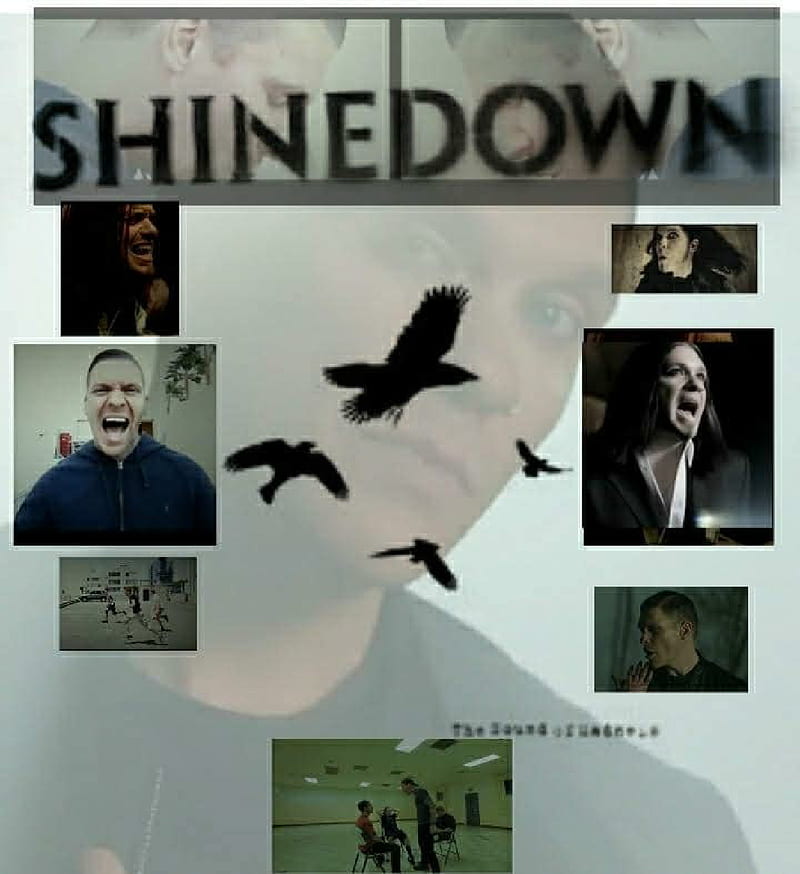 Shinedown Wallpapers - Top Free Shinedown Backgrounds - WallpaperAccess