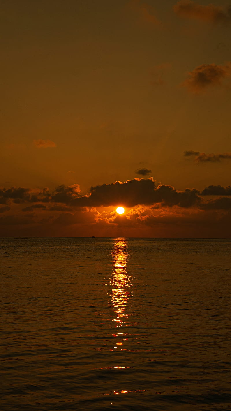 Gaze, maldives, nature, popular, sunsets, sunsets sunset maldives colors yellow orange sky surreal ultra high quality trending popular maldives nature landscape, trending, HD phone wallpaper