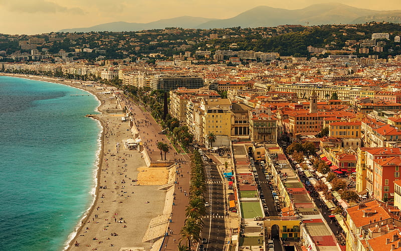 Nice, France, beach, resort, Mediterranean Sea, palm trees, cityscape, HD wallpaper