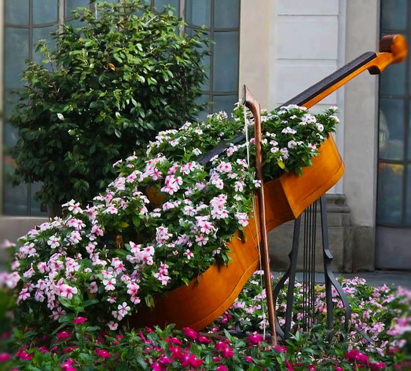 ~coexistence music and flowers~, flowers design, cello, flowers, gardens design, music theme, HD wallpaper
