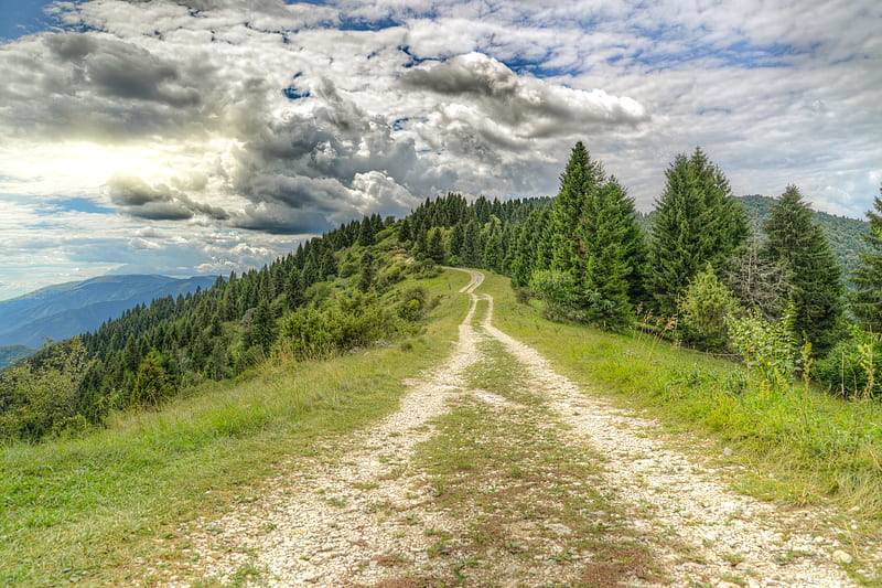 road, distance, forest, clouds, HD wallpaper