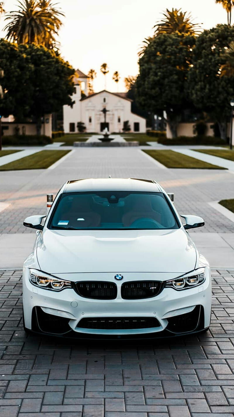 BMW M3, car, f80, front view, m power, tuning, vehicle, white, HD phone wallpaper