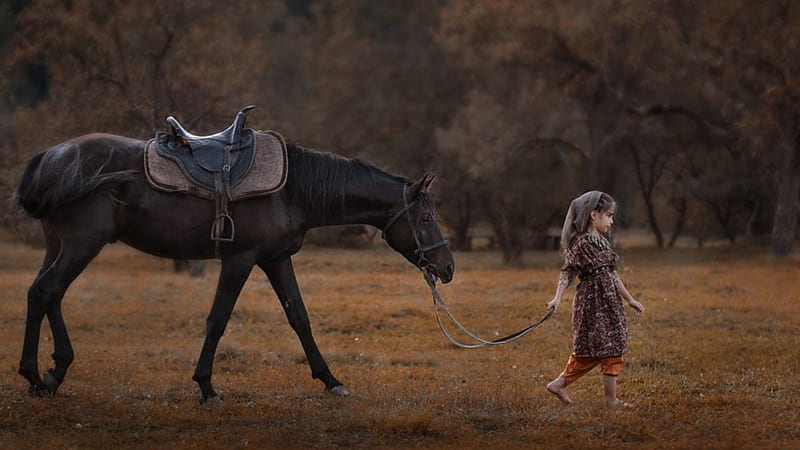 Lets go home, Horse, country, trees, girl, HD wallpaper