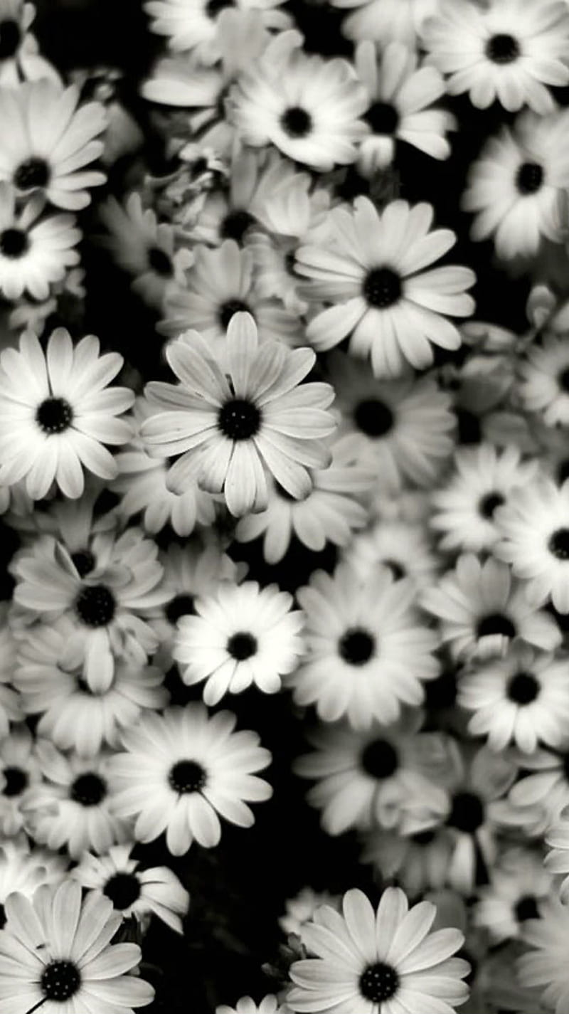 Black and White, dark, fashioned, flowers, gothic, old, vintage, HD phone wallpaper