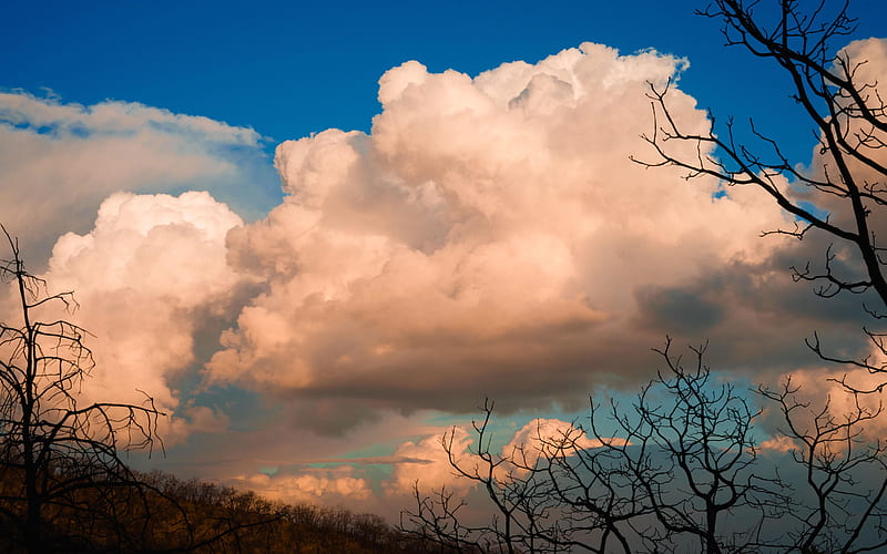 Amazing clouds over La Primavera Forest, Jalisco, Mexico, trees, sky, mountains, landscape, HD wallpaper