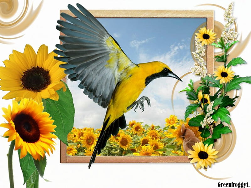 Pájaro con girasoles, pájaro, creación, abstracto, girasoles, Fondo de  pantalla HD | Peakpx