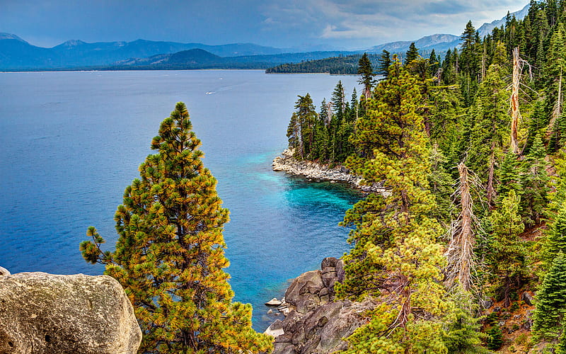 Tahoe Lake, forest, mountains, Sierra Nevada, USA, America, HD wallpaper