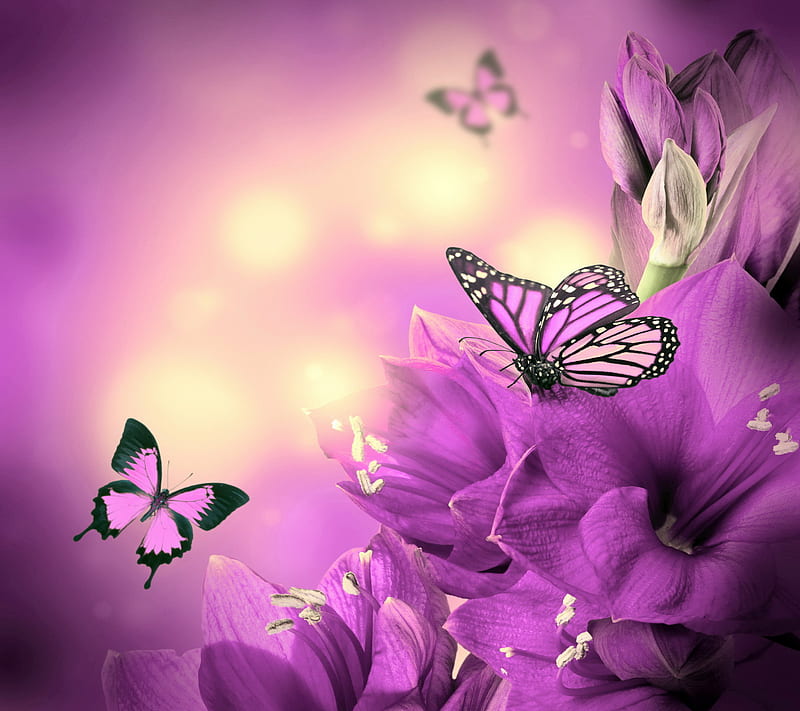 Mariposas florales, flores, violeta, Fondo de pantalla HD | Peakpx