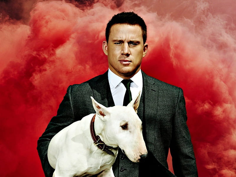 Channing Tatum, red, man, white, smoke, dog, actor, mist, HD wallpaper