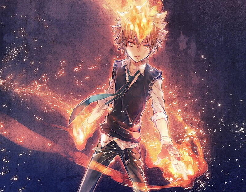 Showcase Mafia Boss (Future) / Tsunayoshi Sawada de REBORN no All