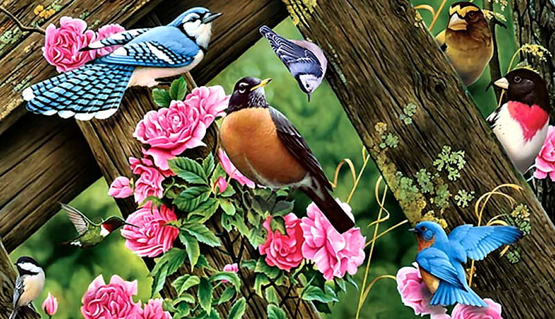 Birds of the Forest II, robin, bonito, illustration, artwork, bluebird, animal, grossbeaks, painting, wide screen, flowers, art, songbirds, roses, nuthatch, bird, avian, wildlife, blue jay, nature, HD wallpaper