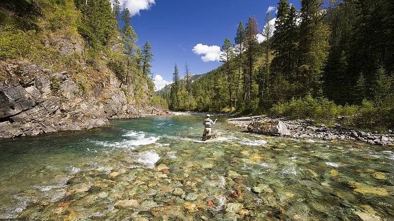 stupendous fly fishing in british columbia, stones, cliffs, river, trees, fisherman, HD wallpaper