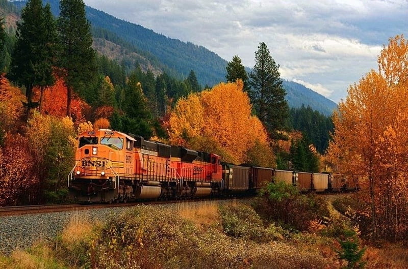 BNSF Train, Train, BNSF, Forests, Autumn, Nature, HD wallpaper