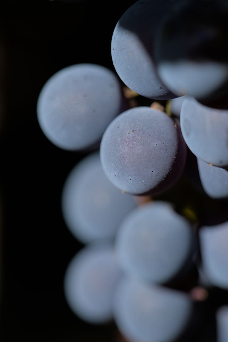 grapes, berries, bunch, macro, blur, HD phone wallpaper