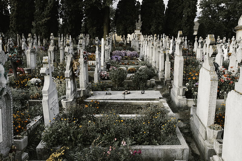 tomb stone surrounded by flowers, HD wallpaper