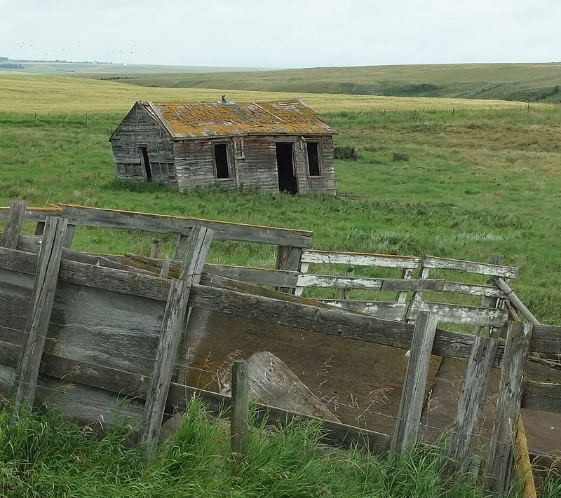 Ghost Farm, farmhouse, history, landscape, old ranch cattle shoot, HD wallpaper