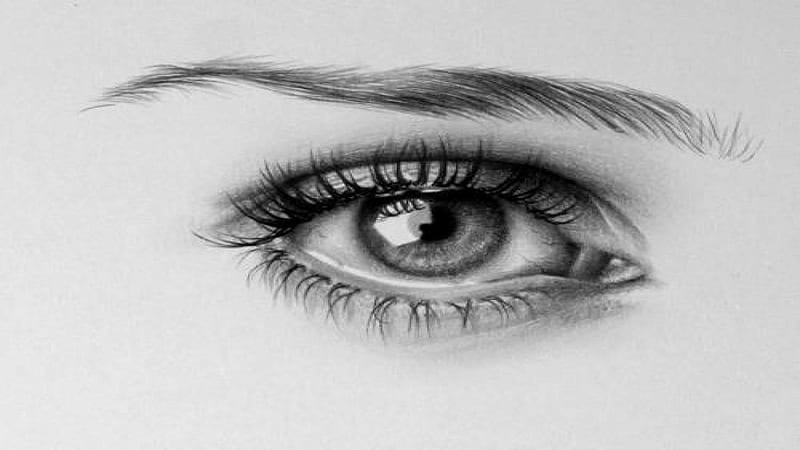 eye of the beholder, pupil, lash, brow, eye, HD wallpaper