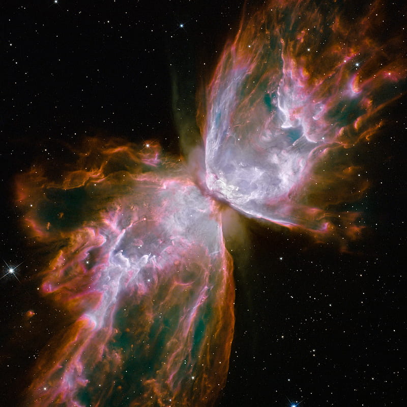 Butterfly Nebula, stars, hubble telescope, exposion of colors, space, nebulae, black, HD wallpaper