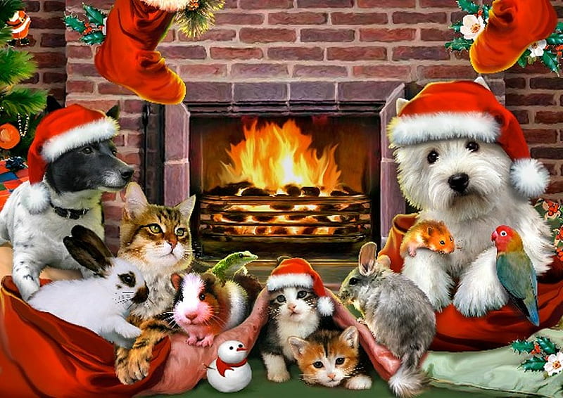 By Howard Robinson, santa, hatholiuday, christmas, home, cat, kitten, howard robinson, animal, HD wallpaper