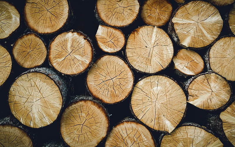 Logs, wood, wood texture, sawmill, HD wallpaper