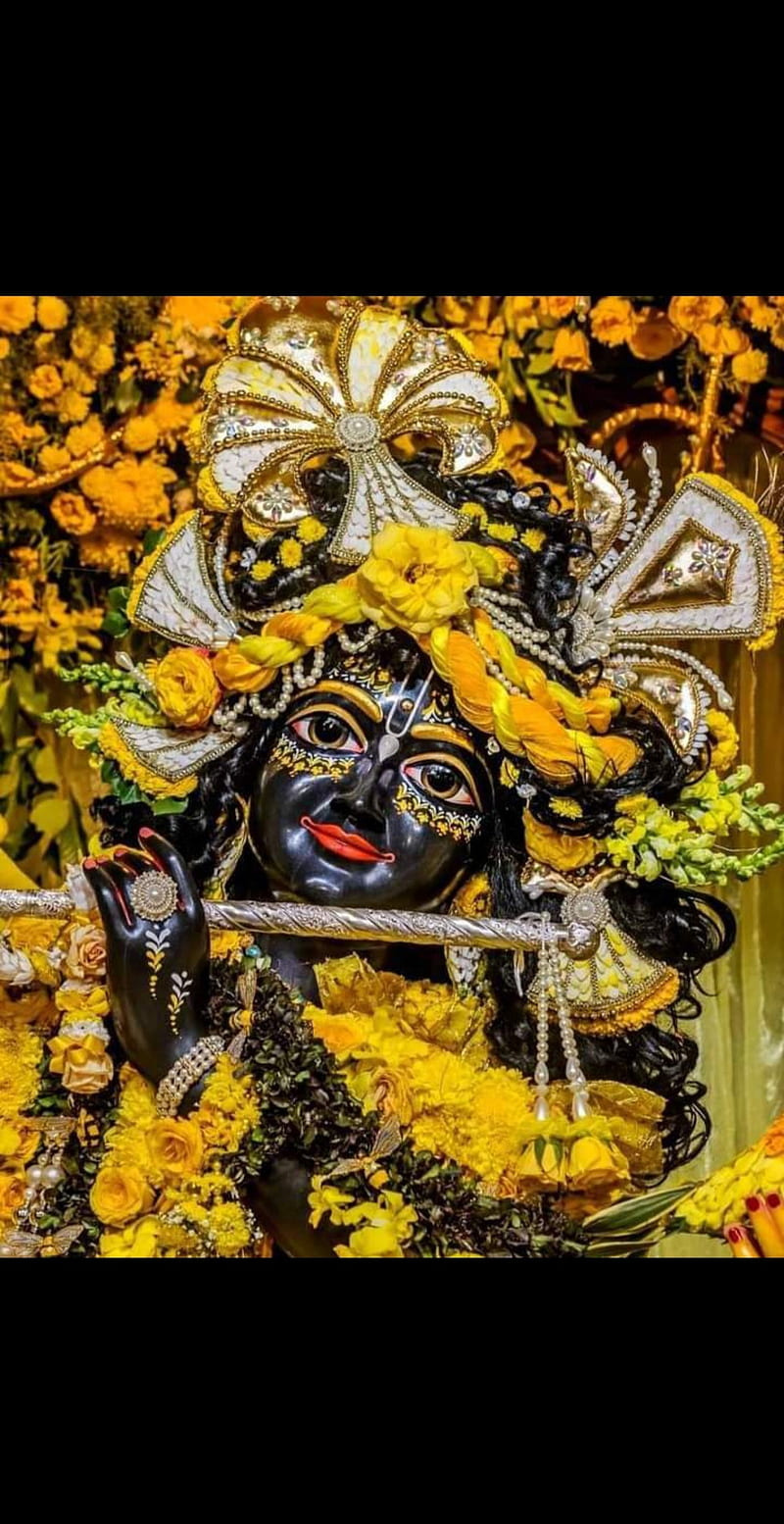 Lord Krishna, creator of us, god, main of hindus, HD phone wallpaper
