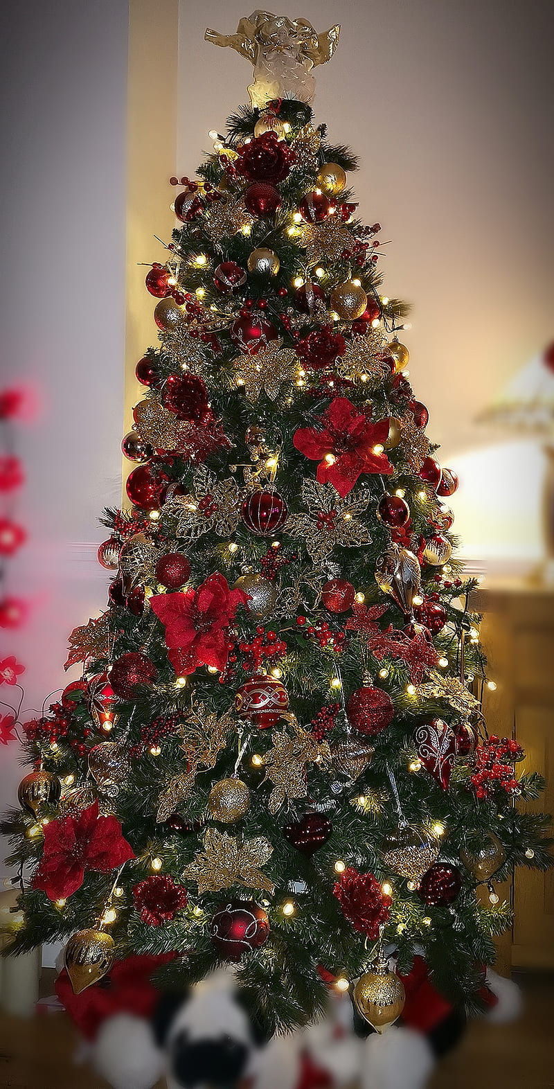 Christmas tree, christmas, xmas, lights, HD phone wallpaper | Peakpx
