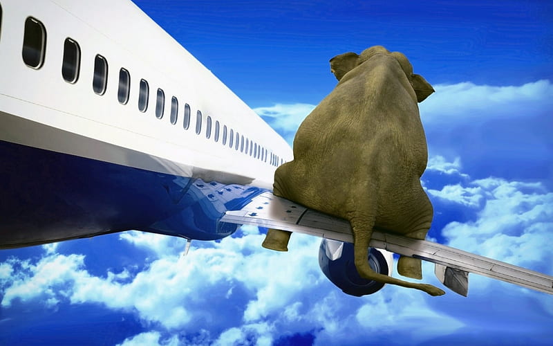 Jumbo Jet, airplane, elephant, flying, clouds, artwork, HD wallpaper