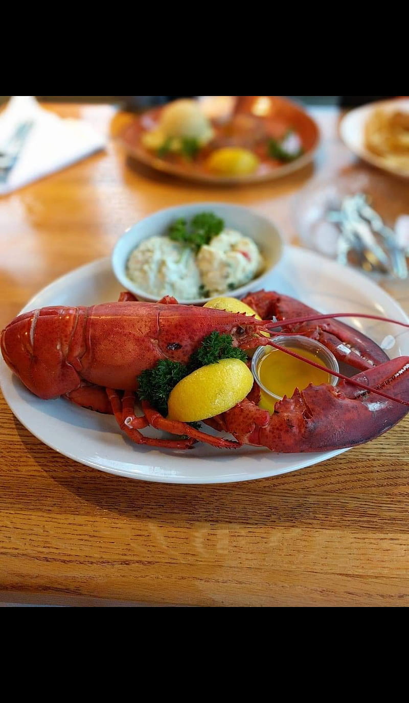 lobster, fish, lemon, shrimp, HD phone wallpaper