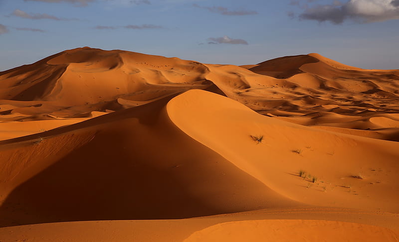 Landscape, Nature, Sand, Desert, Earth, Dune, HD wallpaper