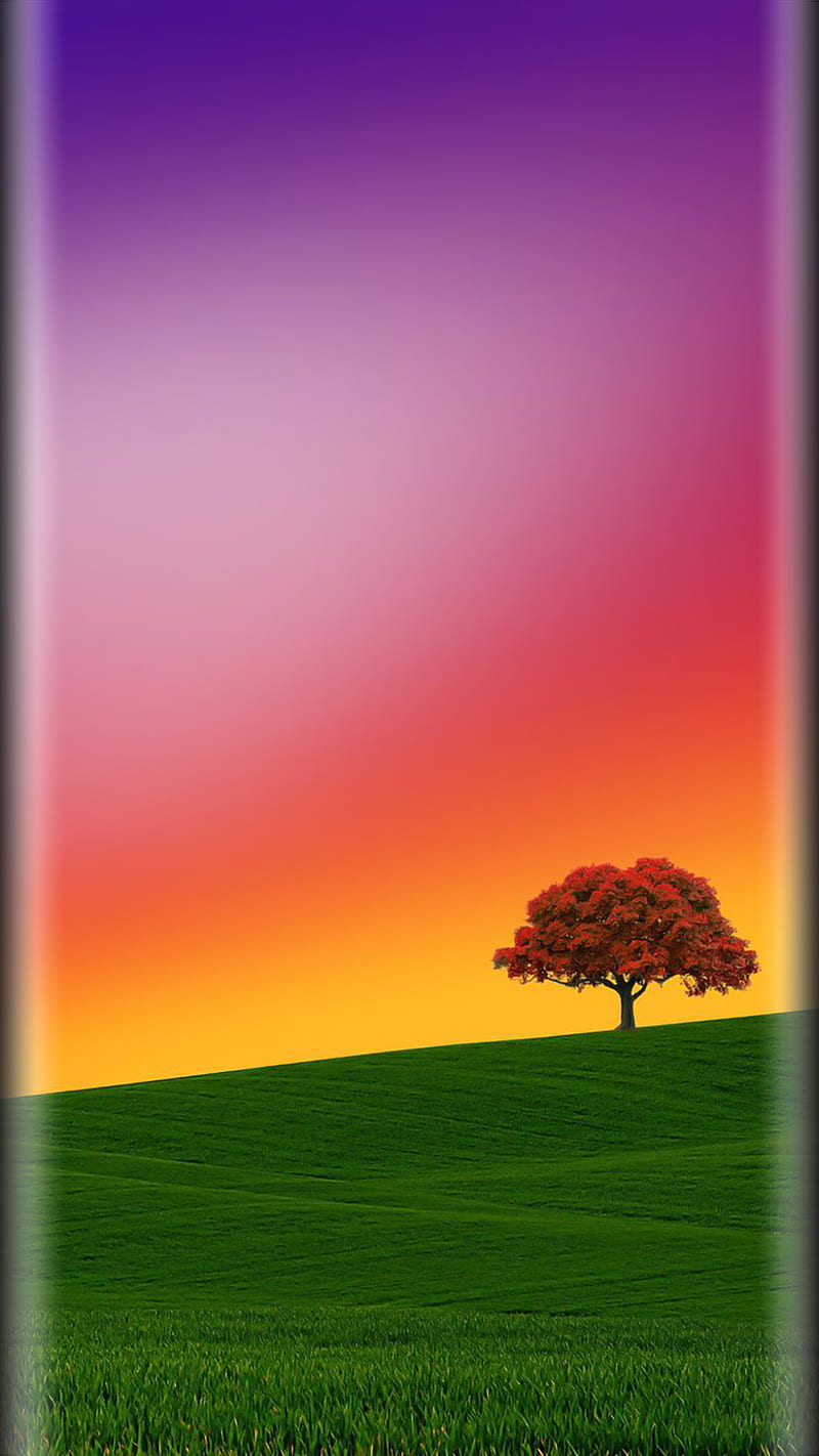 Tree, beauty, colorful, edge style, nature, s7, HD phone wallpaper