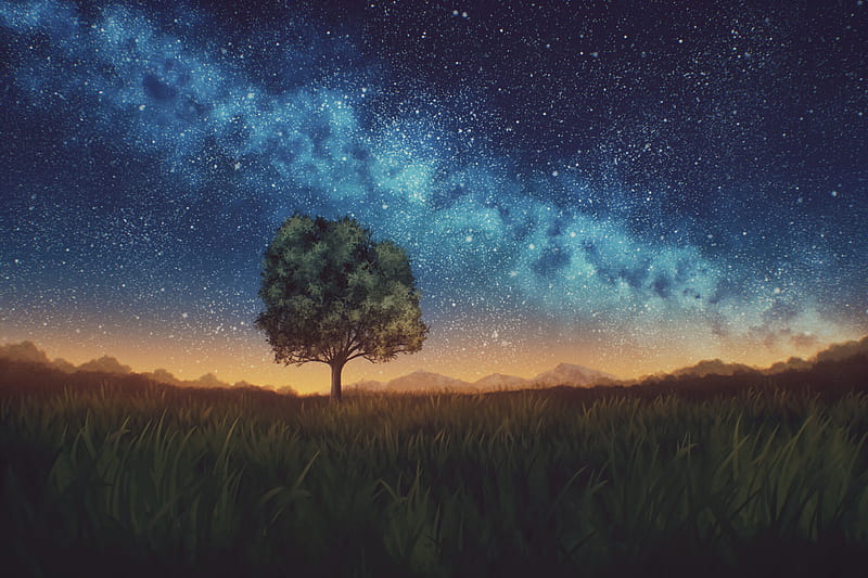 lawn, tree, night, starry sky, dark, HD wallpaper