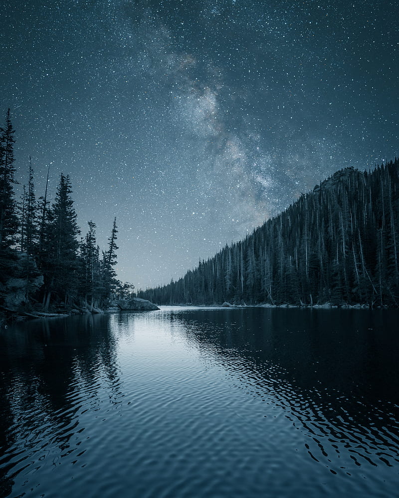 river, trees, starry sky, night, landscape, HD phone wallpaper