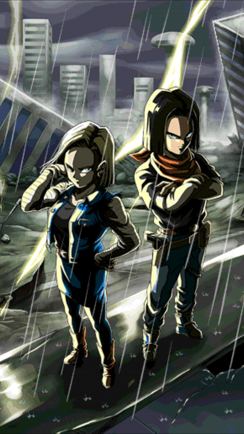 Dragon Ball Super, android 17, android 18, anime, dragon ball, fighting, HD  phone wallpaper | Peakpx