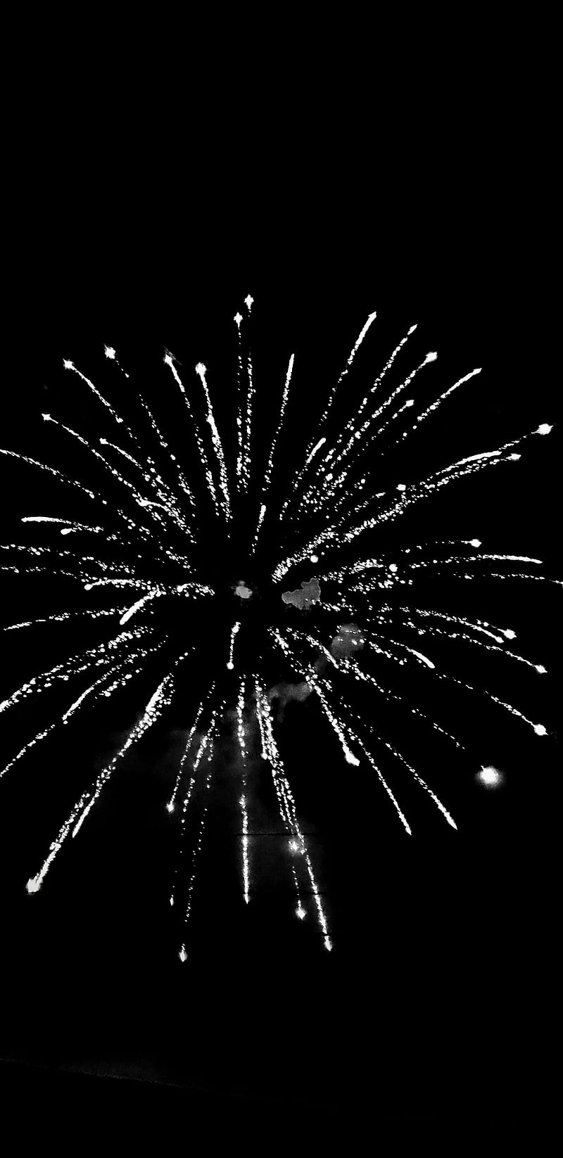 Fire work black, color, display, explosion, fireworks, lazy, screen, tree, trees, violet, HD phone wallpaper