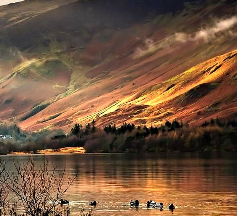 Lake In Cumbria, England, Mountain, Lake, Nature, England, HD wallpaper