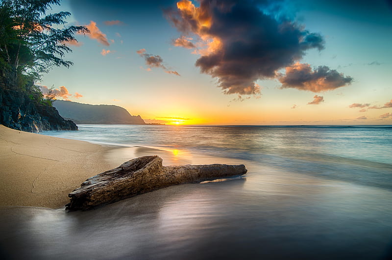 Driftwood On Beach At Sunset On North Shore Of Kauai , beach, sunset, nature, HD wallpaper