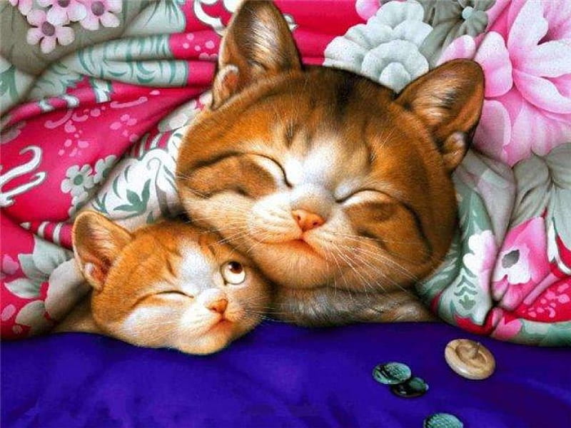 Small vs Big, pretty, sleep, cg, adorable, bed, animal, sweet, nice, realistic, comfortable, lovely, silly, kitty, cat, sleeping, cute, button, 3d, wink, funny, kitten, HD wallpaper
